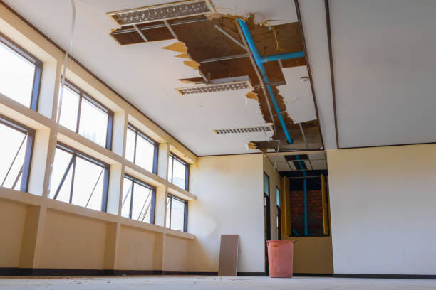 Best Carpet water damage restoration  in Wetherington, OH