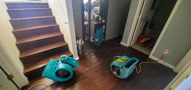 Best Water damage restoration near me  in Wetherington, OH