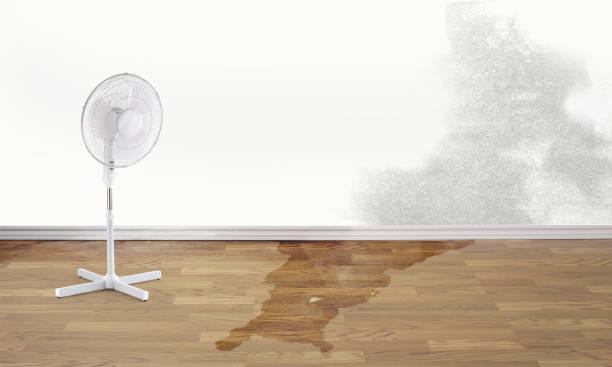 Best Flood restoration services  in Wetherington, OH